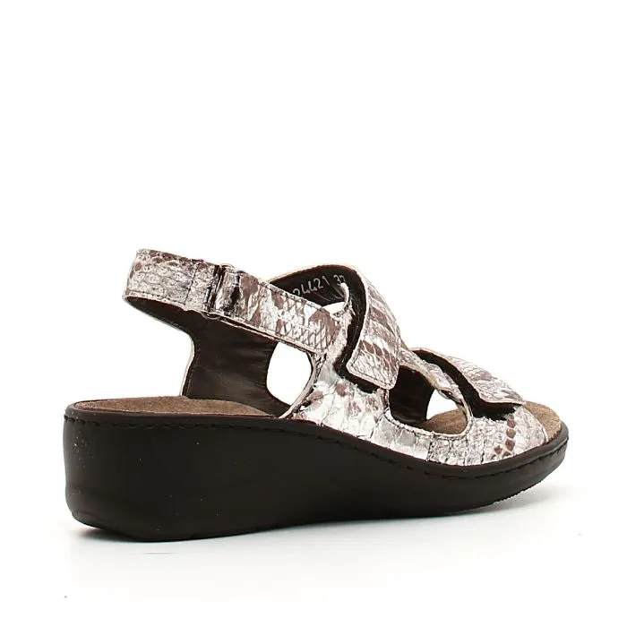 JASMINE QUEEN 14725
